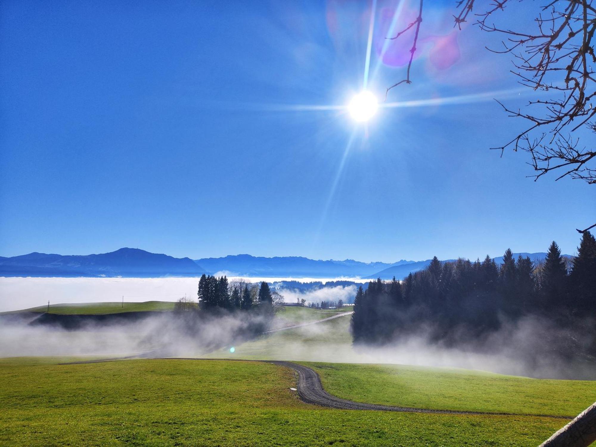 Alpseegruenten - Die Ferienwohnung Immenstadt im Allgäu エクステリア 写真